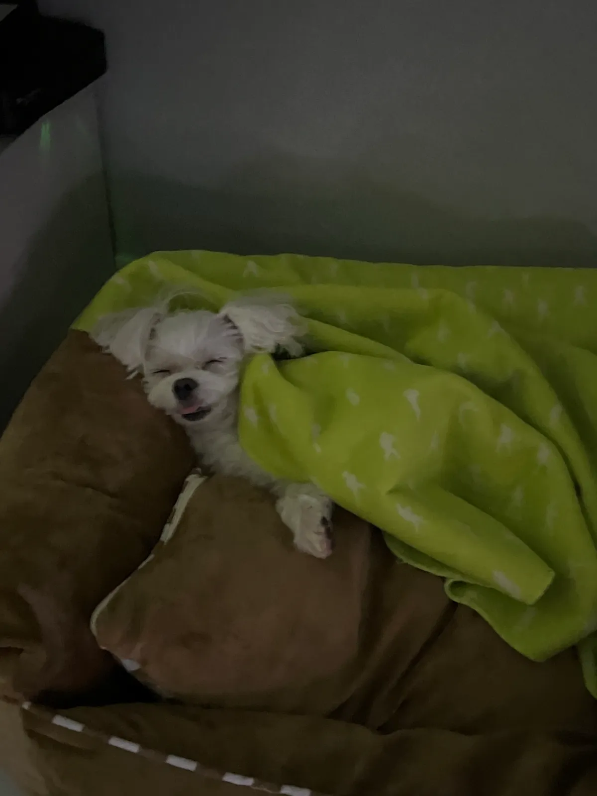 이미지 6