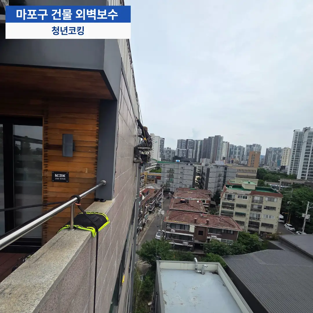 이미지 12