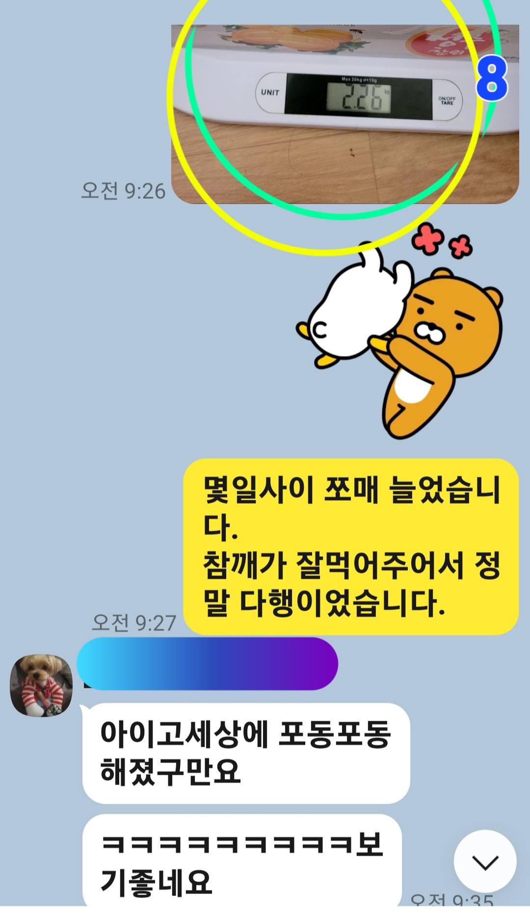 이미지 10