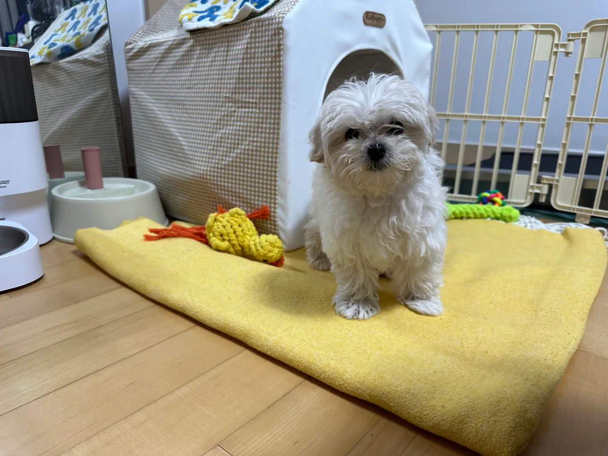 이미지 7
