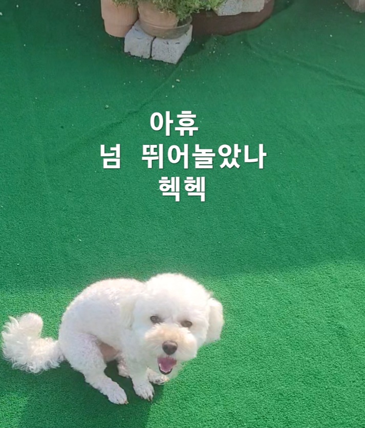 이미지 3