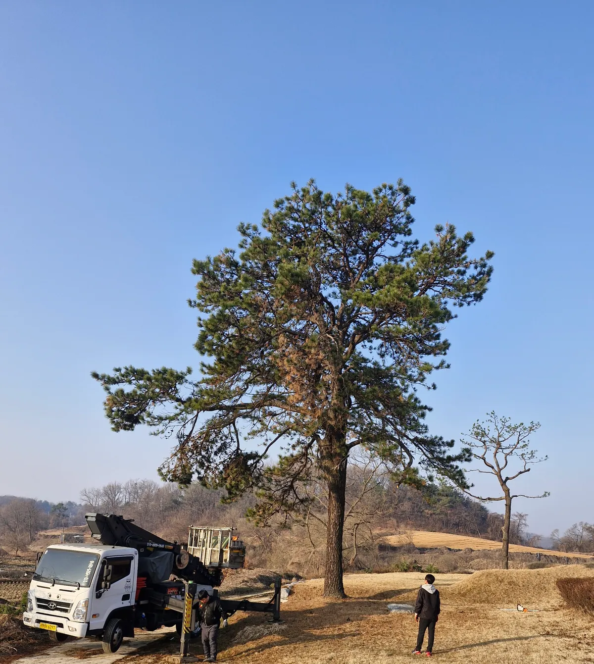 이미지 12