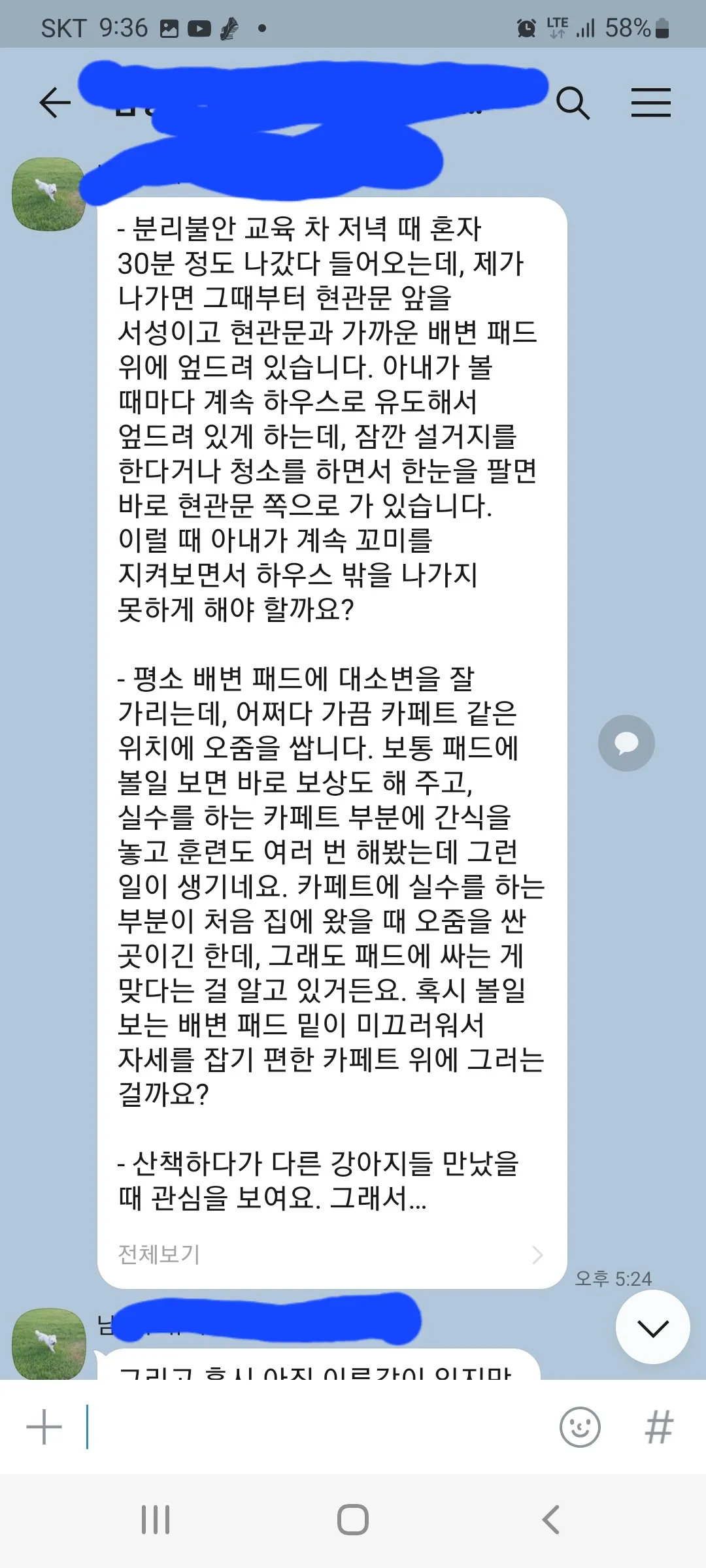 이미지 5