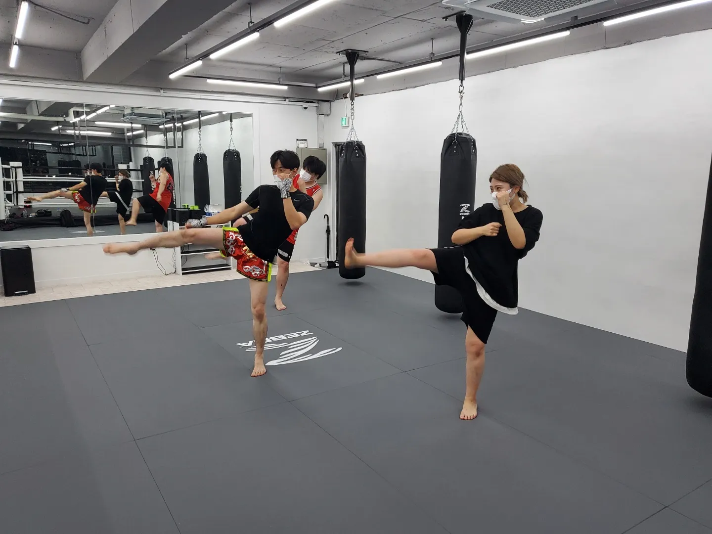 포트폴리오 이미지