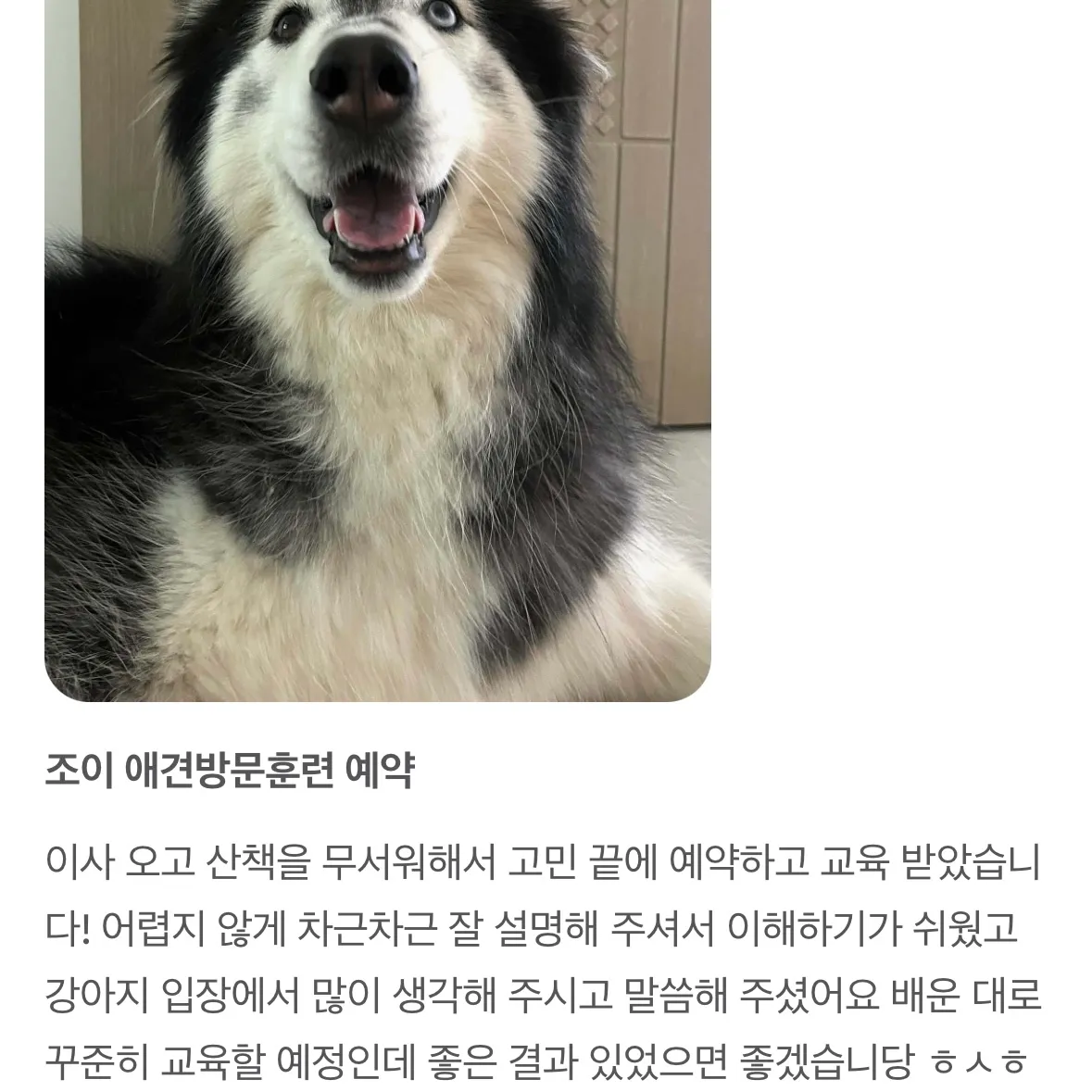이미지 4