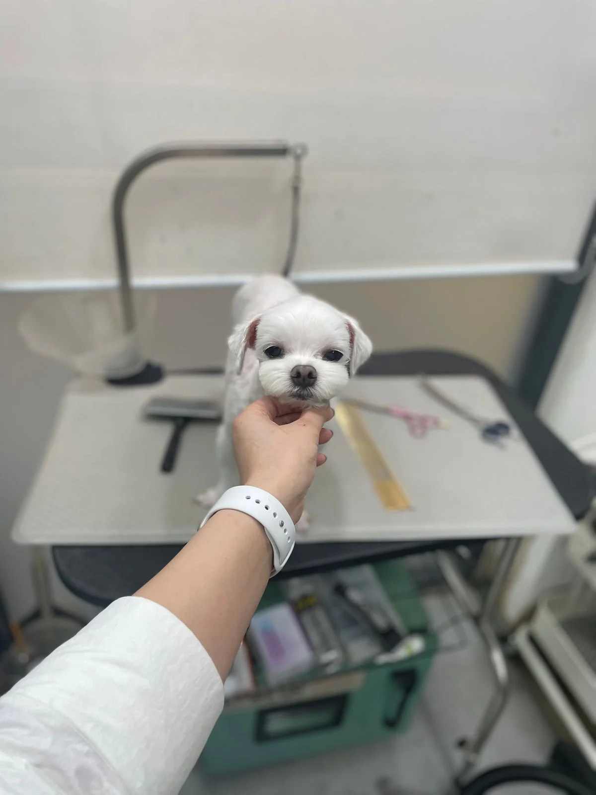 이미지 3