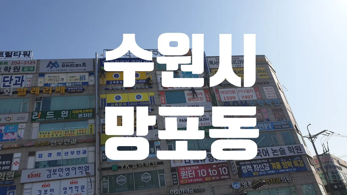 포트폴리오 이미지