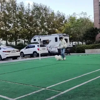 양산 포메 산책교육