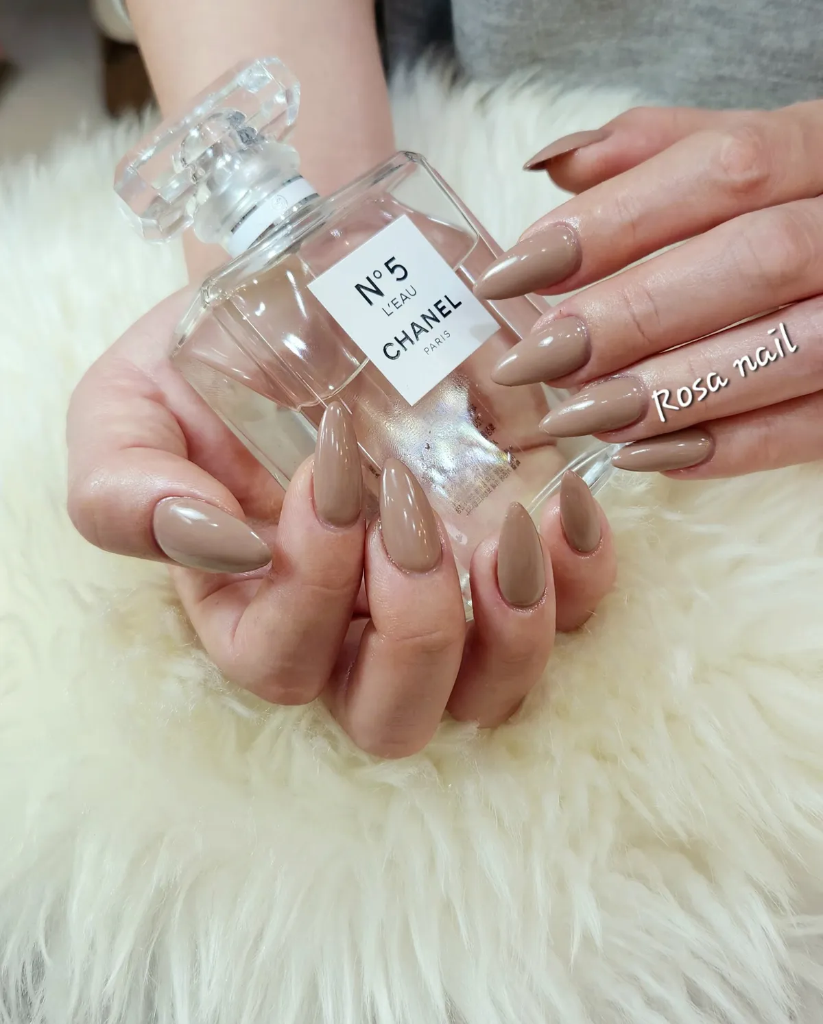 이미지 5