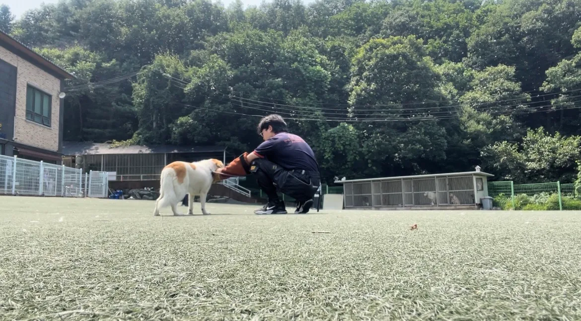 이미지 3