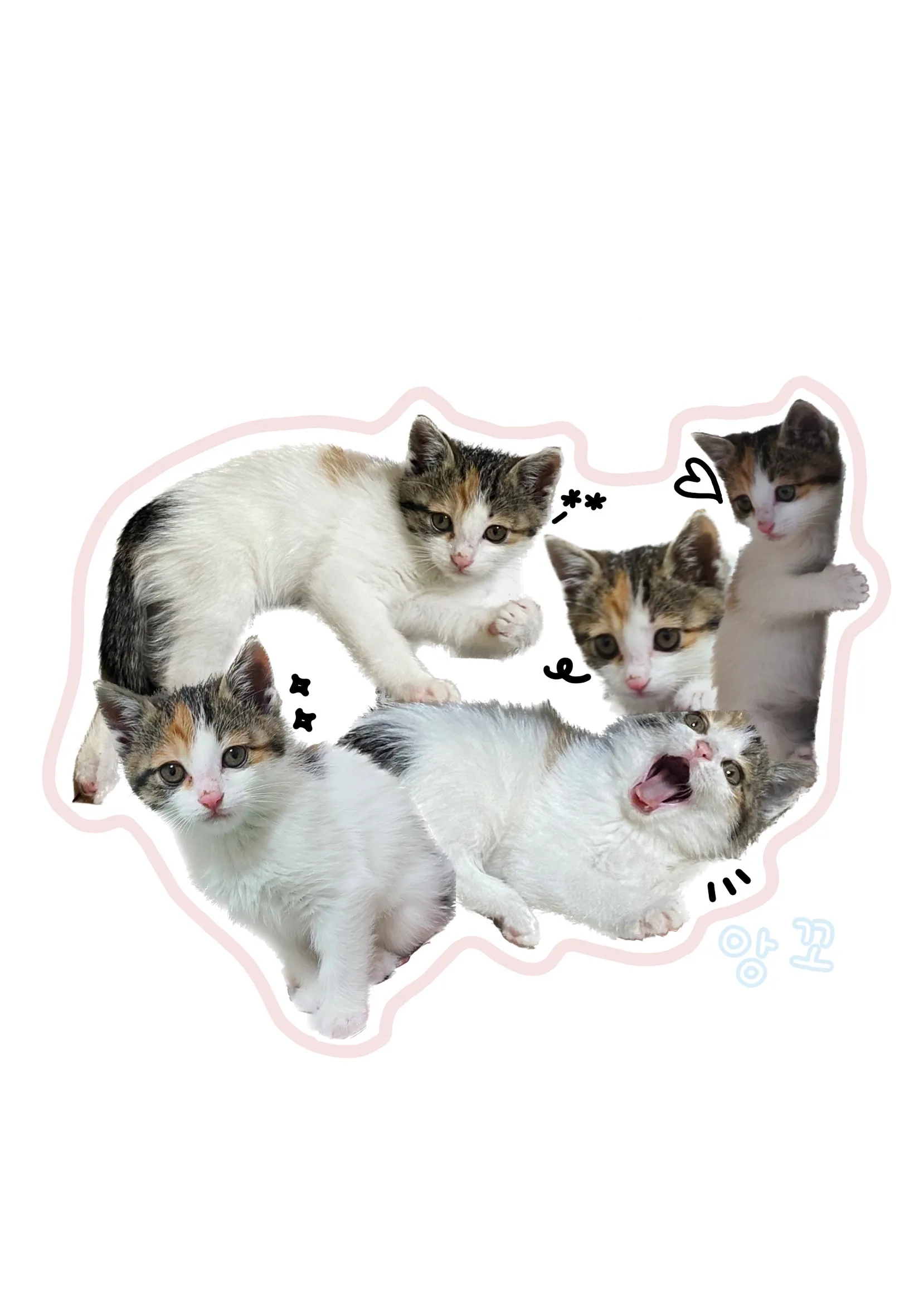 이미지 3