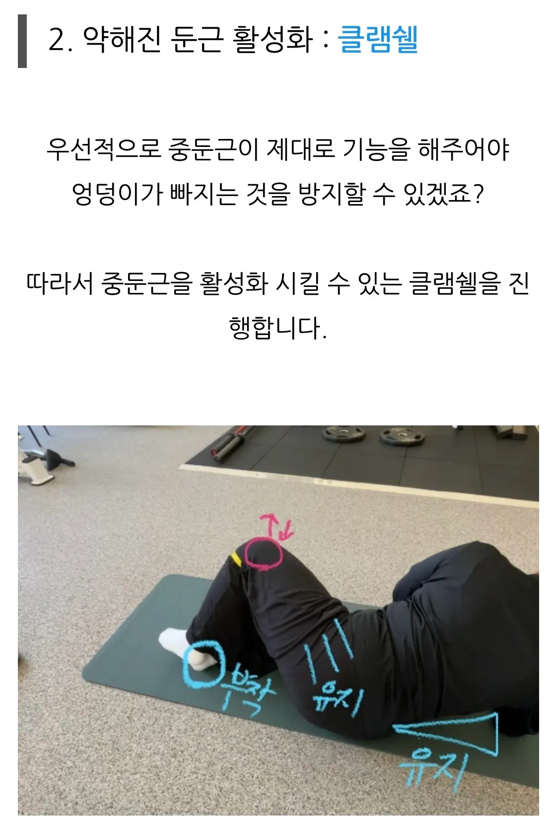 이미지 5