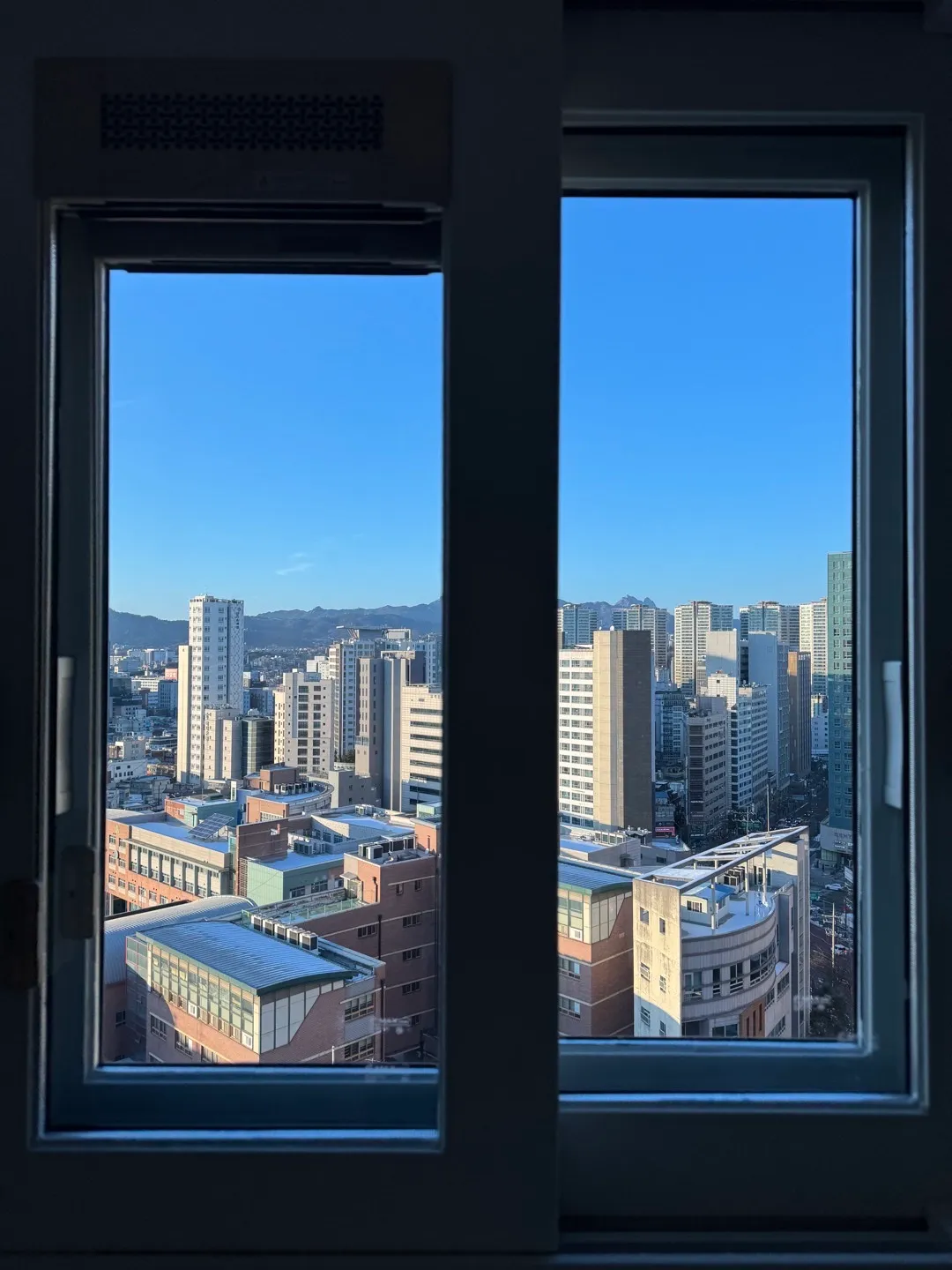 이미지 12
