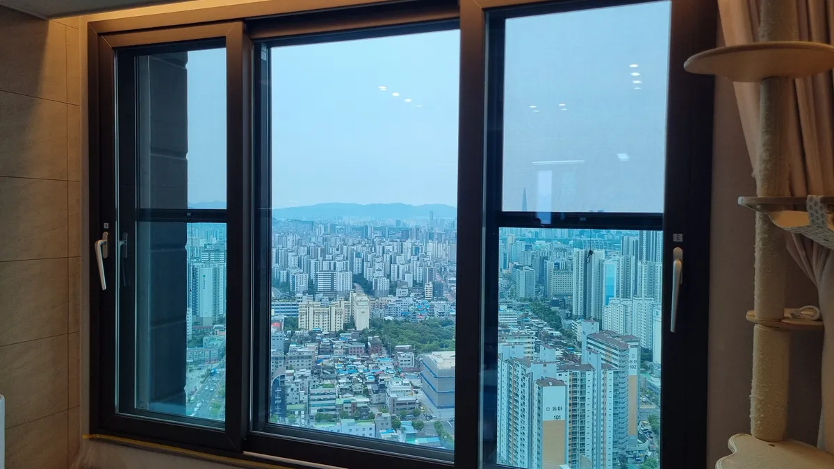 이미지 12