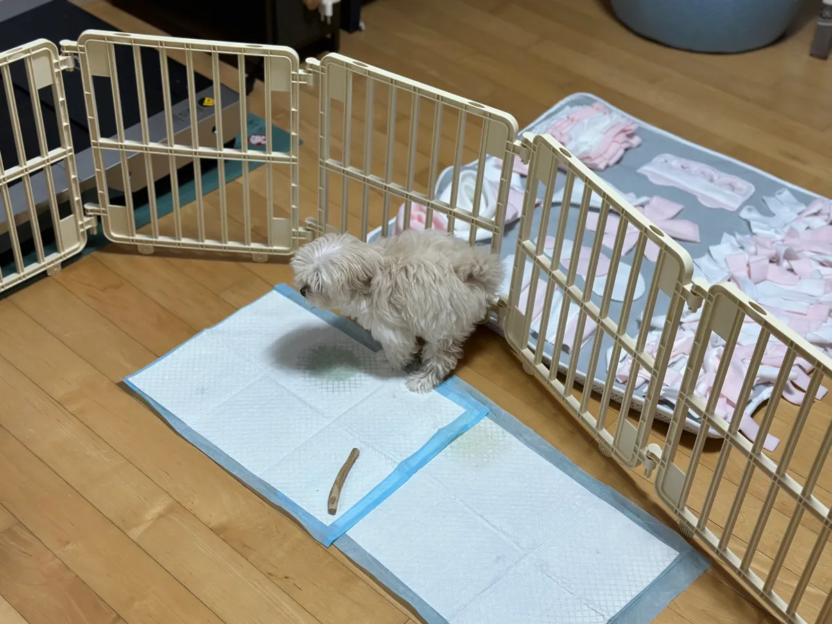 이미지 3