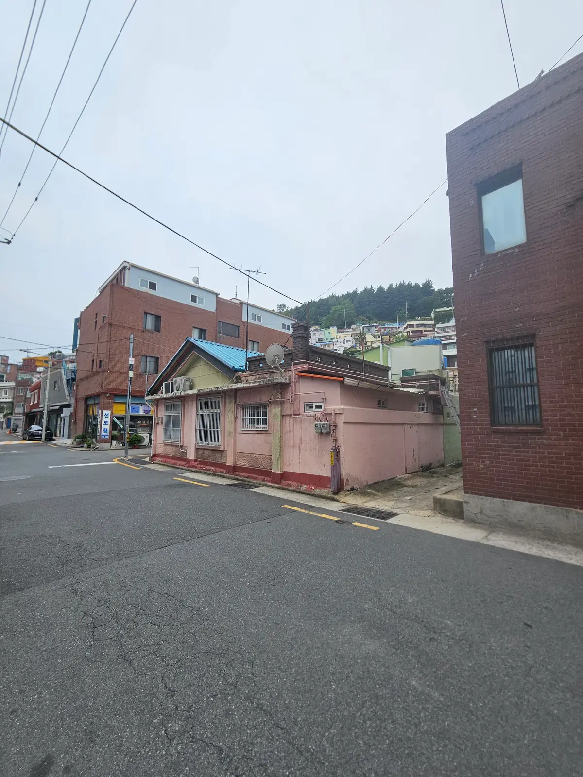 이미지 3