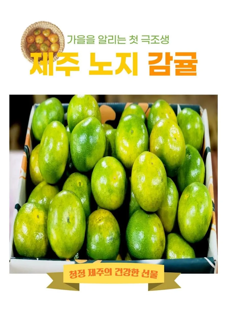 이미지 3