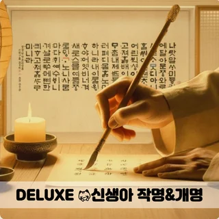 DELUXE - 운을 담는 사주맞춤 신생아 작명&개명
