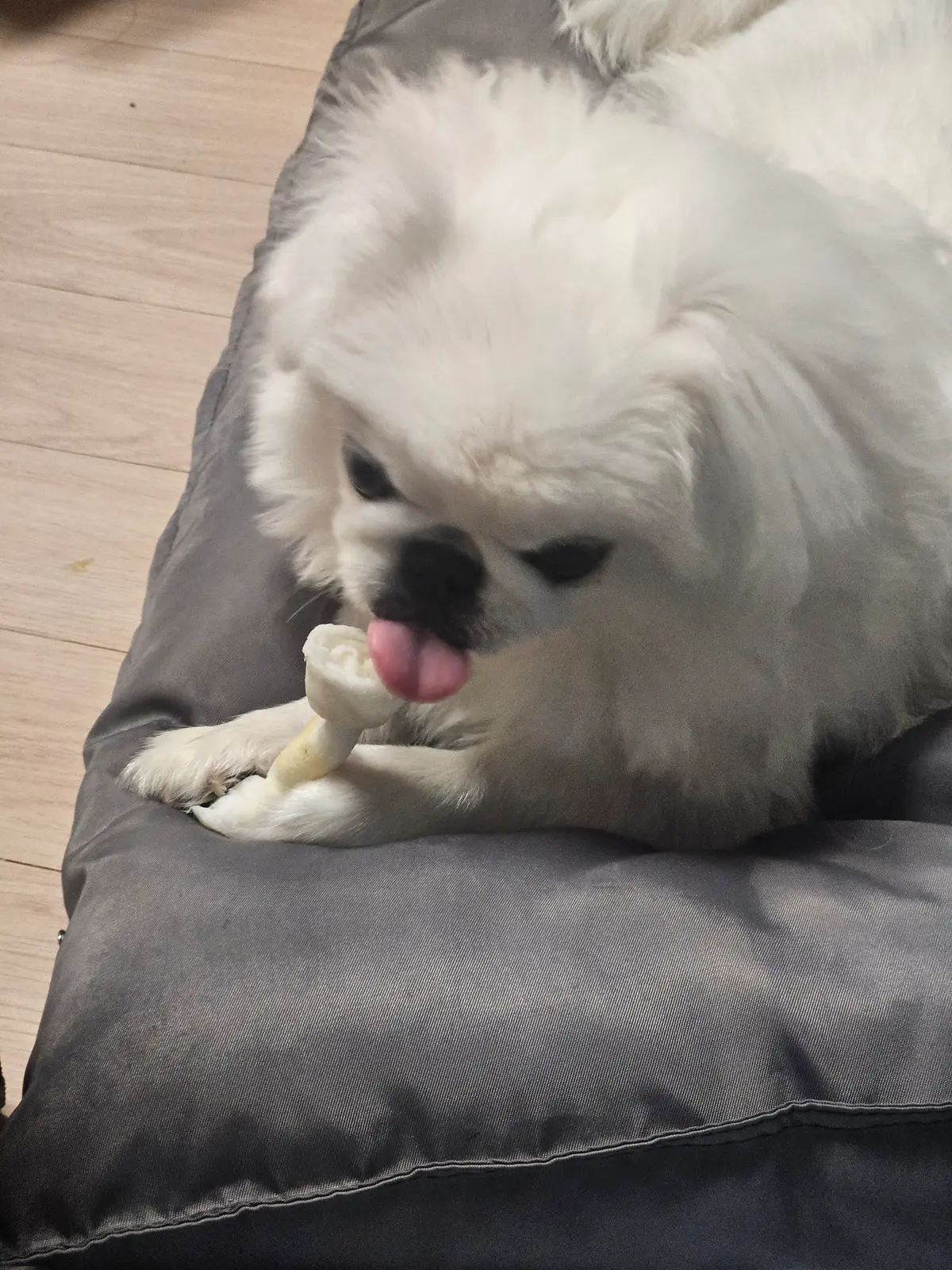 이미지 5