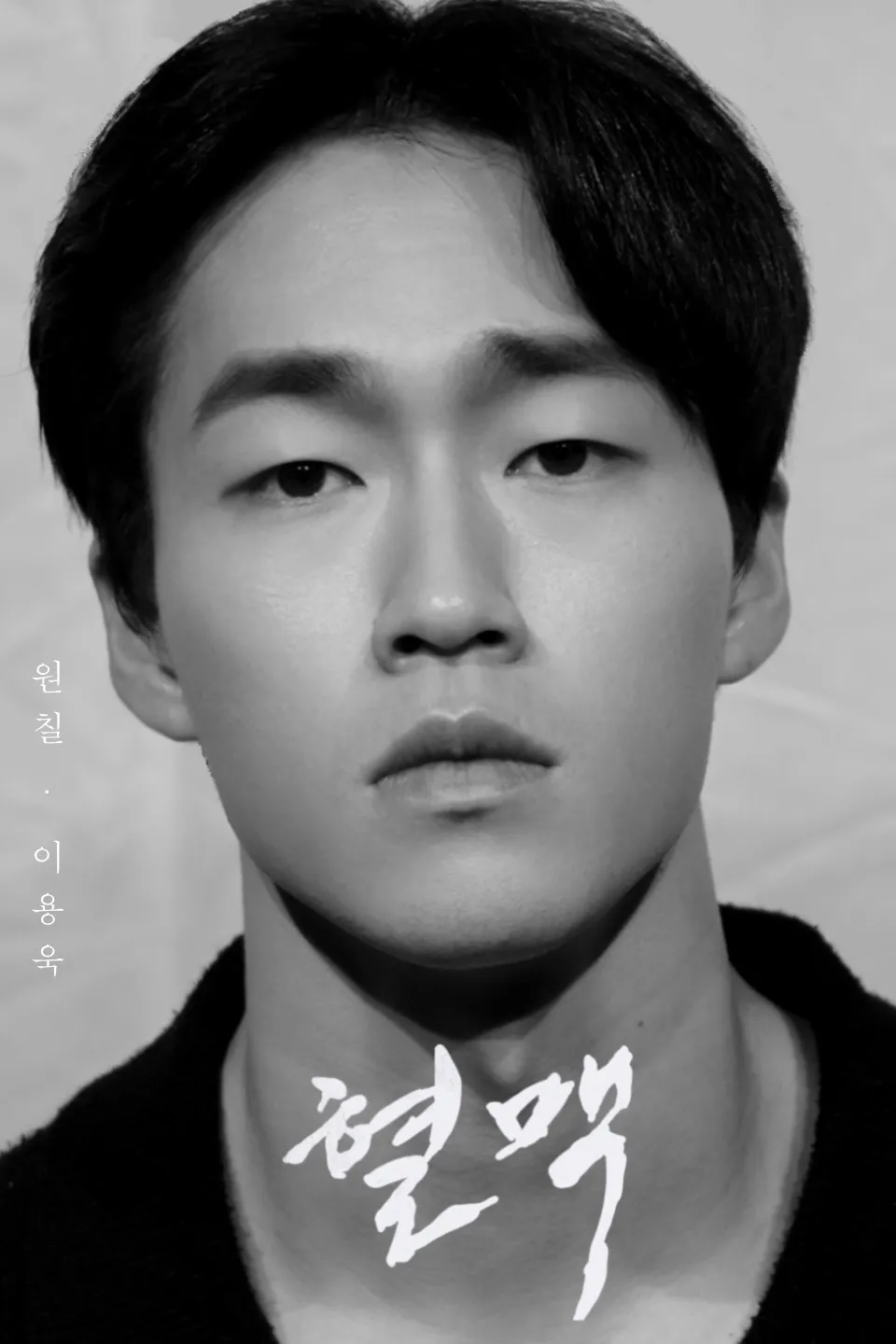 이미지 5