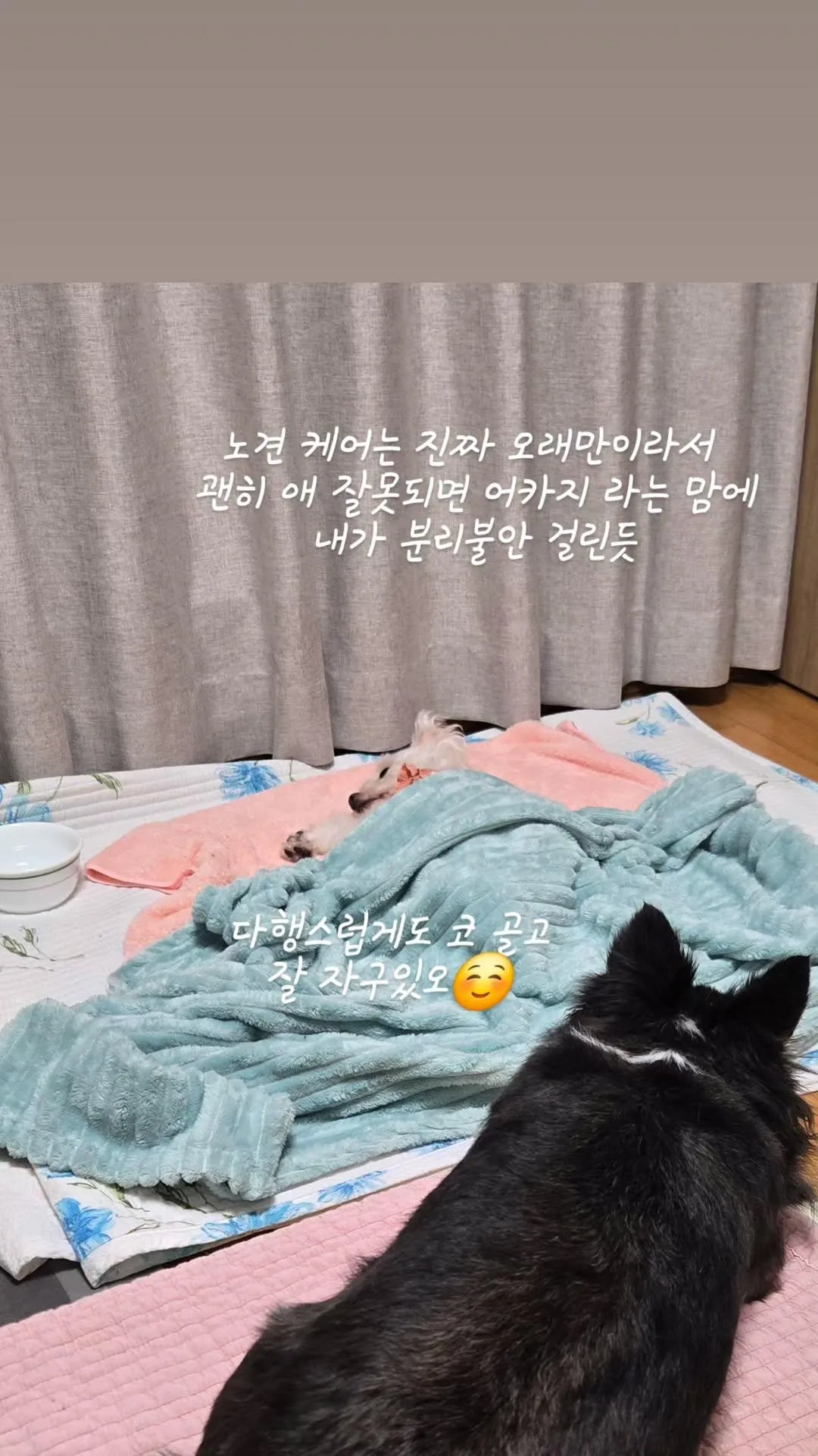 이미지 6