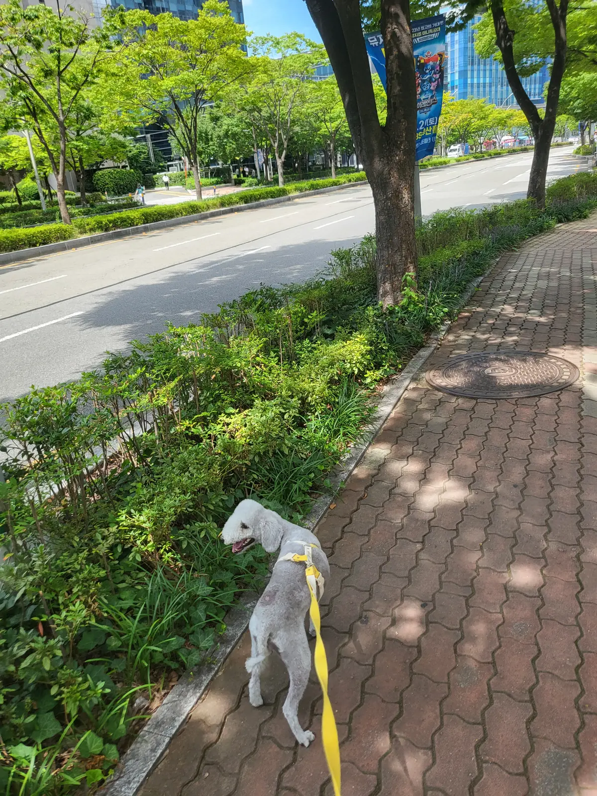 이미지 9