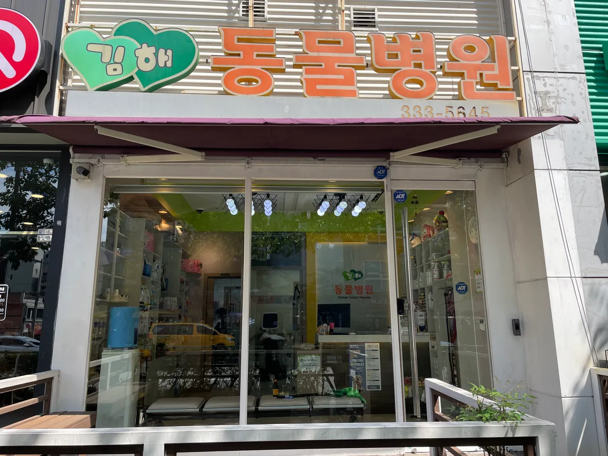 이미지 5