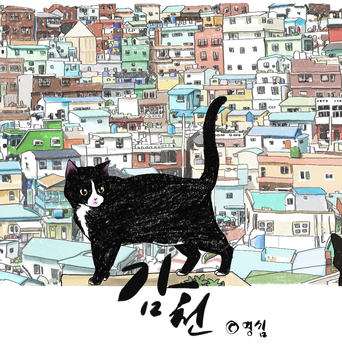 포트폴리오 이미지