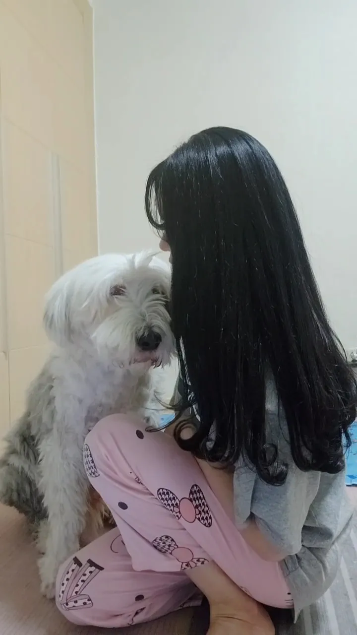 이미지 8