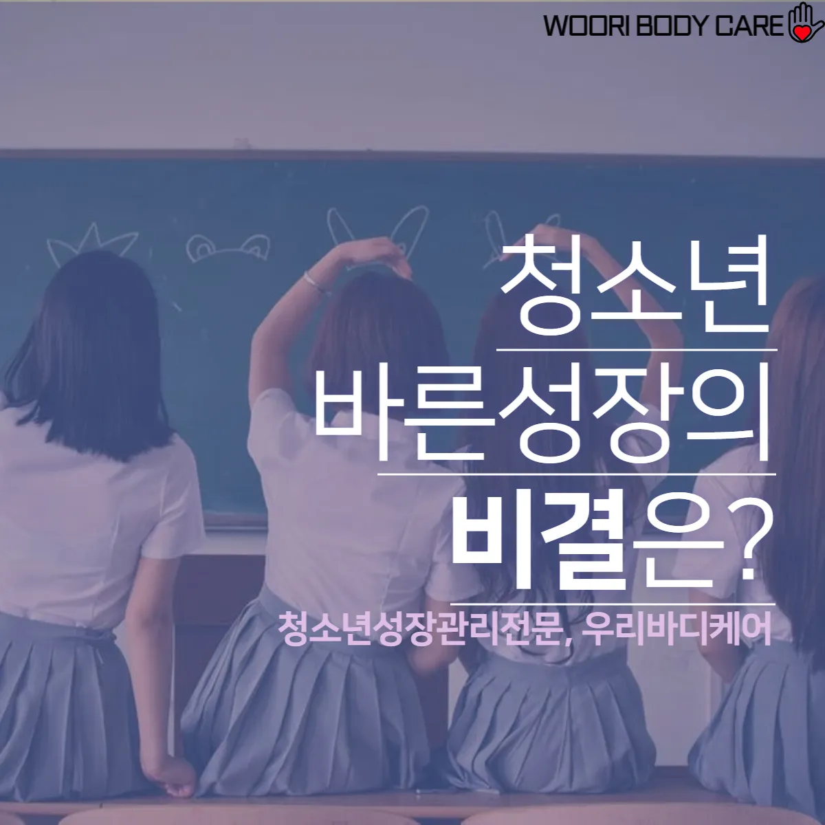 이미지 6