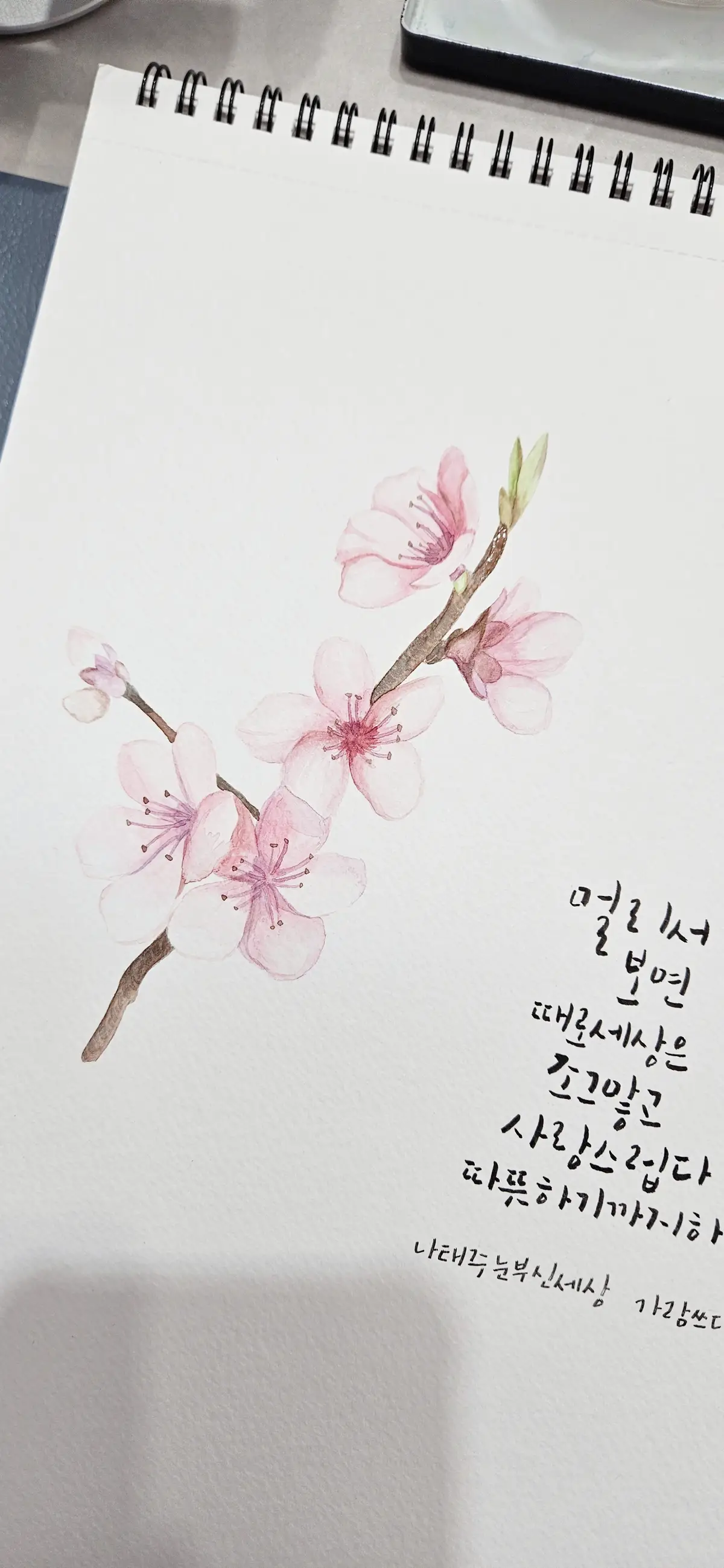 이미지 5