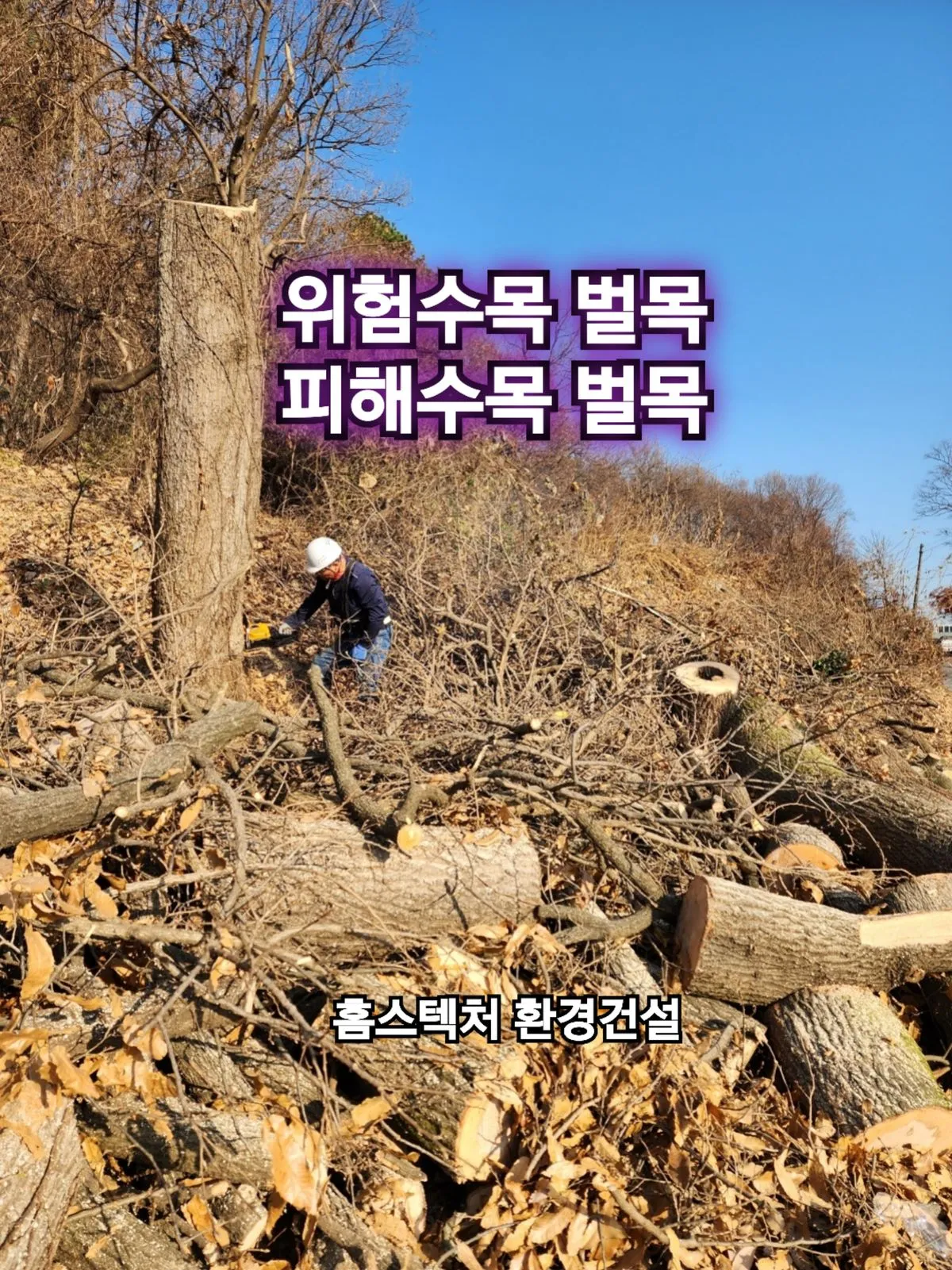 포트폴리오 대표 이미지