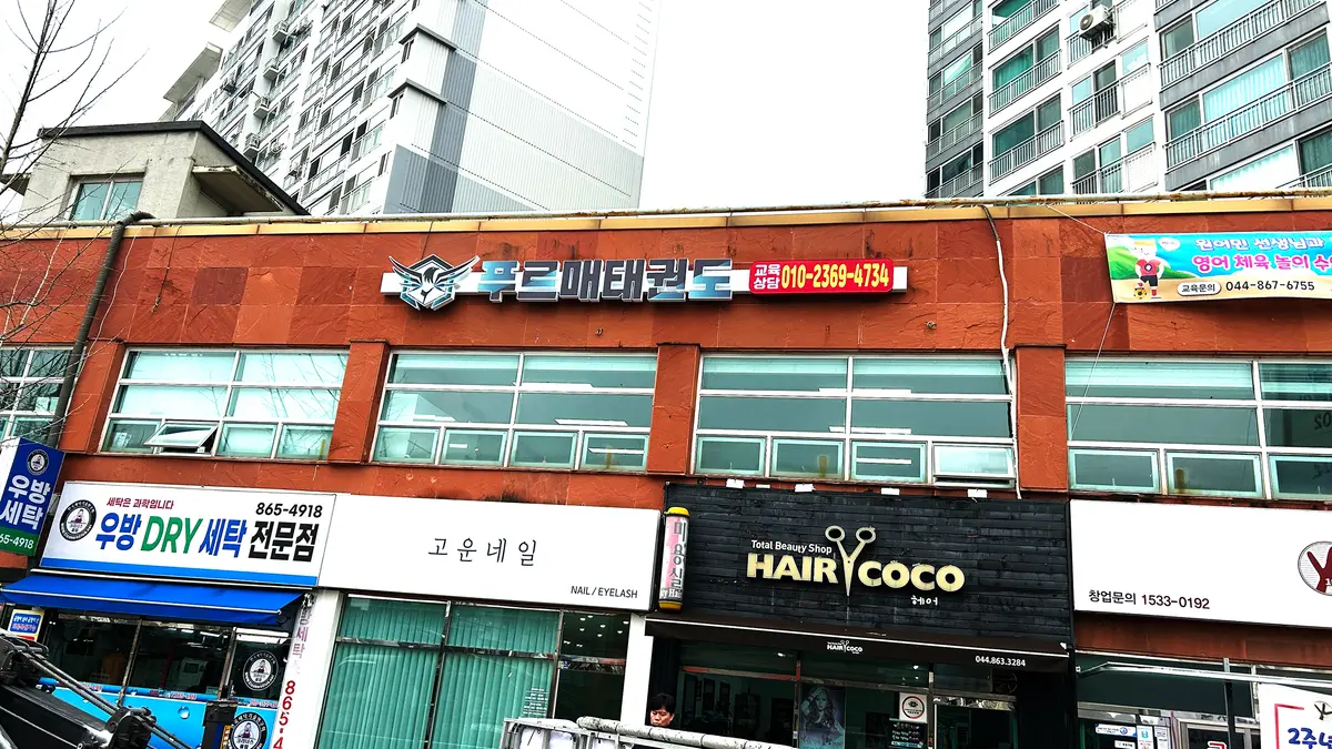이미지 4