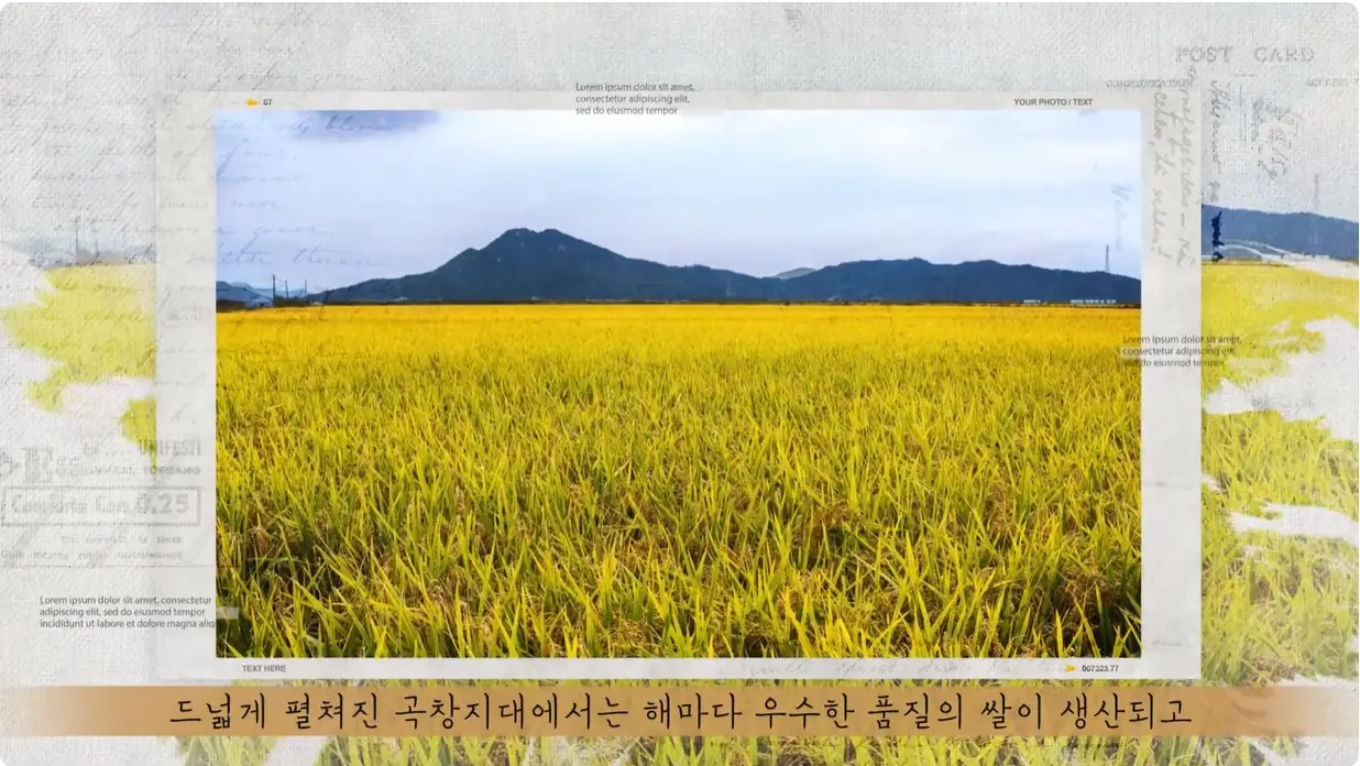 이미지 9