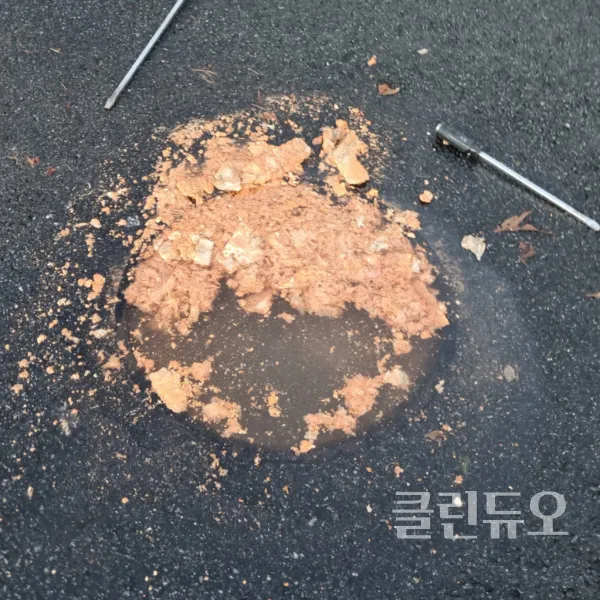 이미지 4