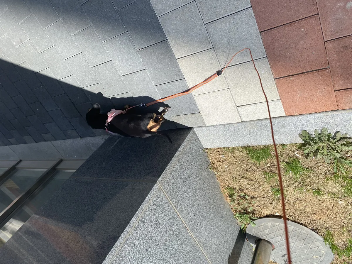 이미지 8