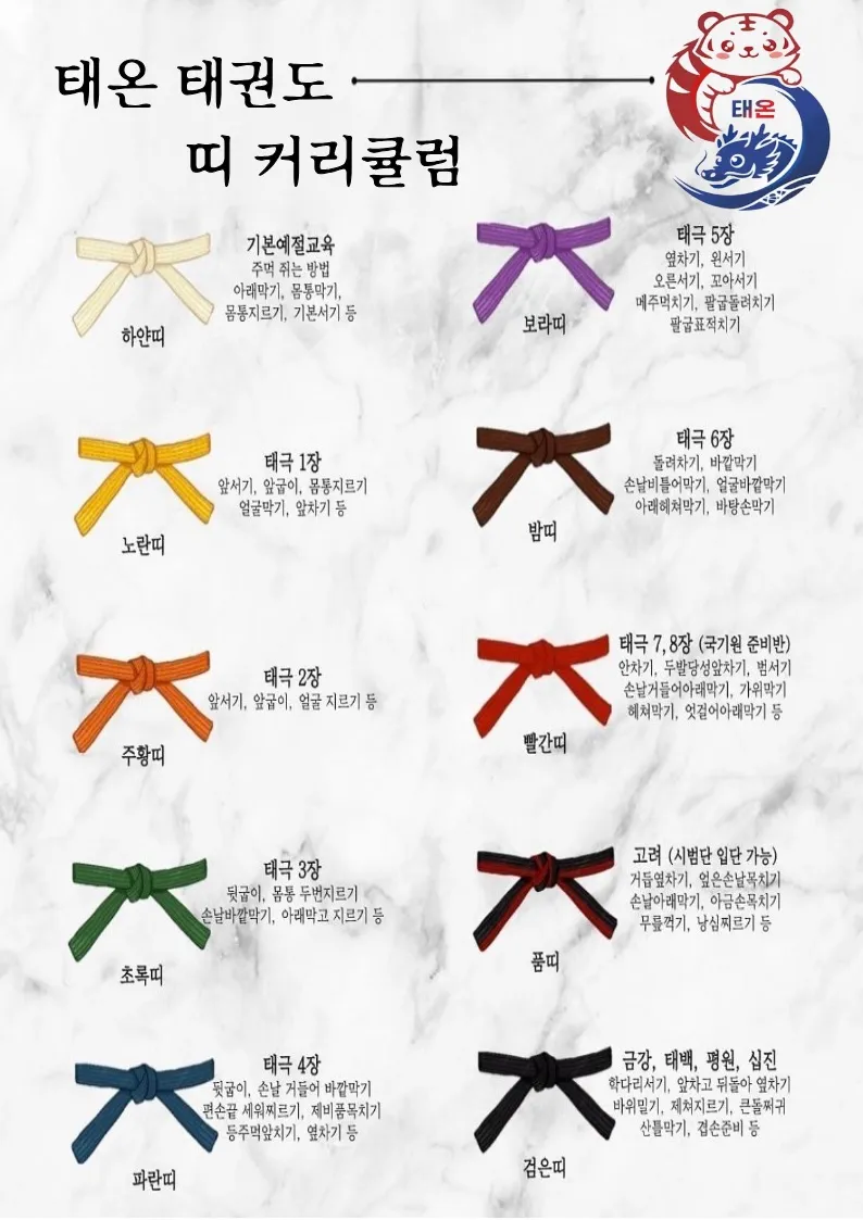이미지 4