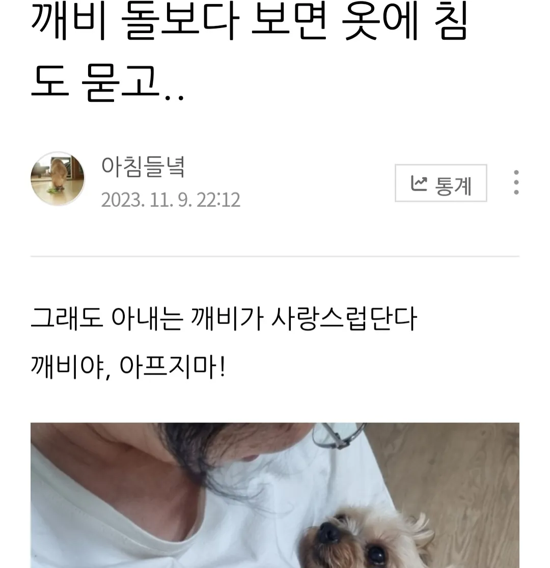 이미지 9