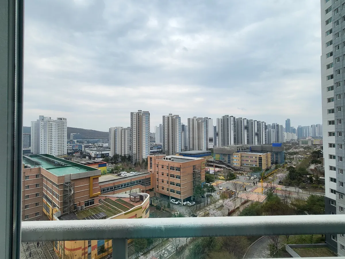 이미지 3