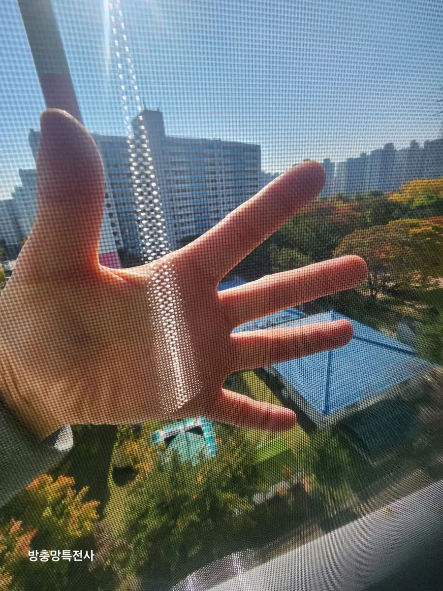 이미지 18