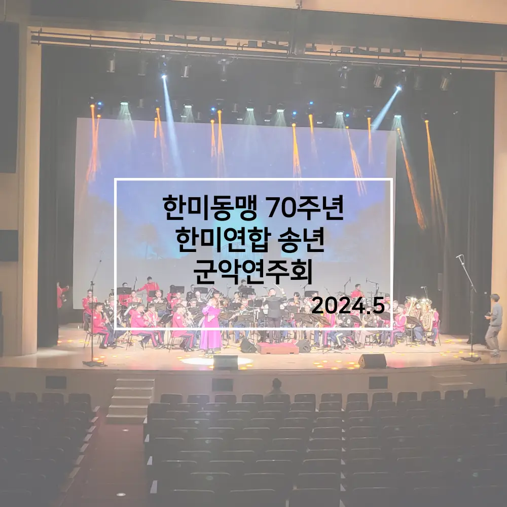 이미지 11