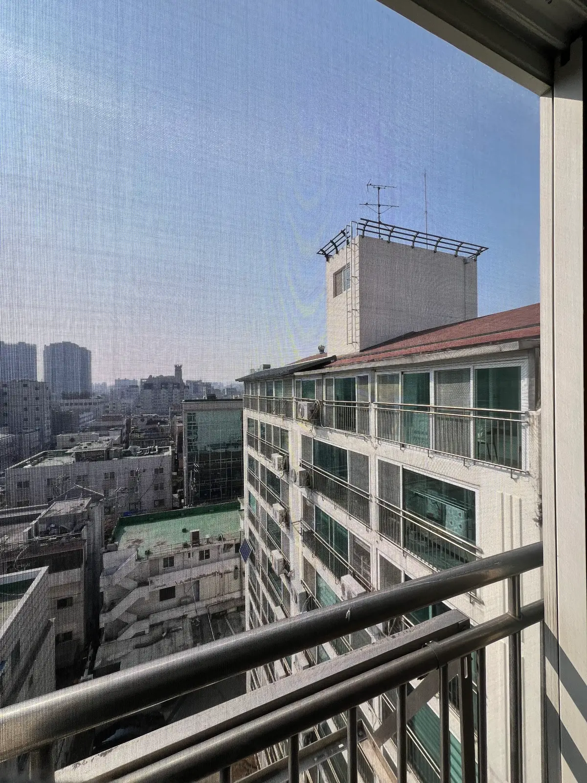 이미지 11