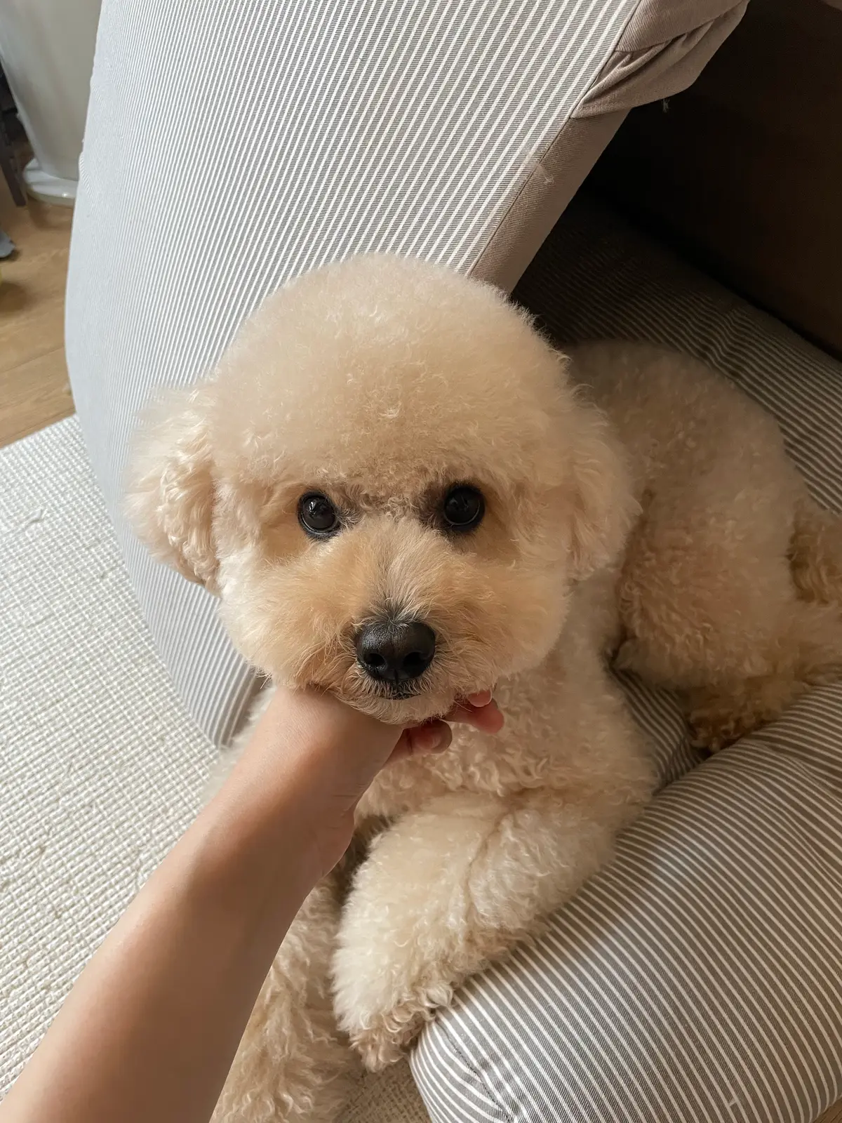 이미지 4