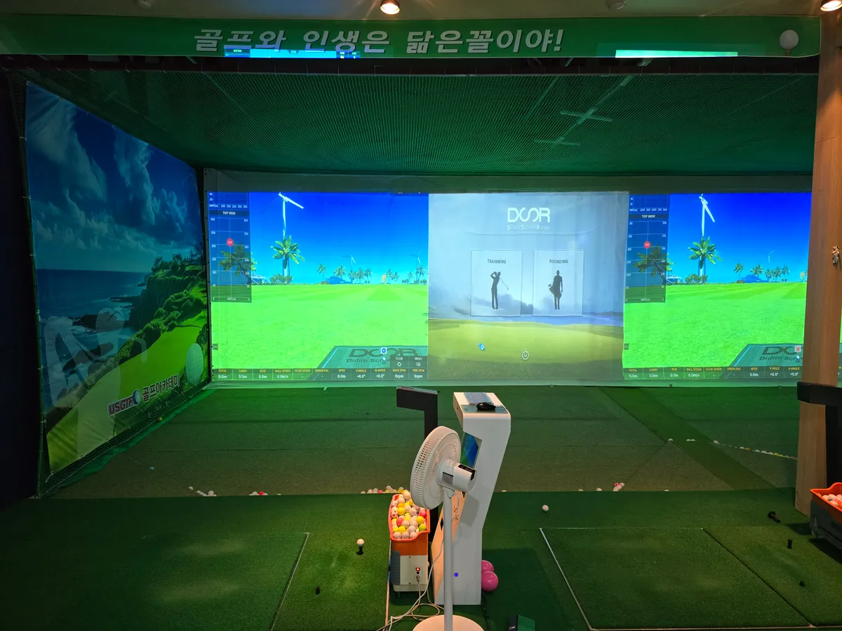 이미지 5