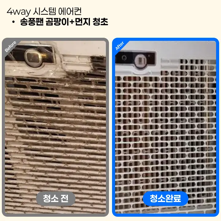 이미지 12