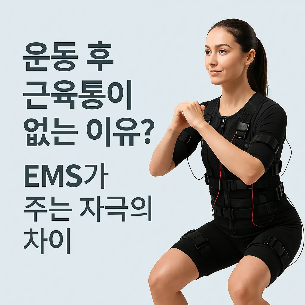 이미지 12