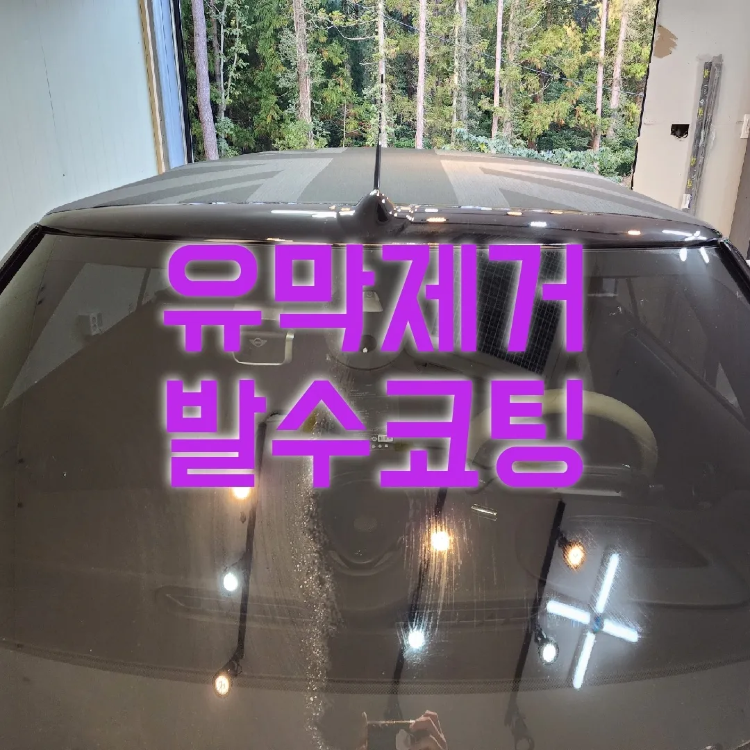 이미지 8