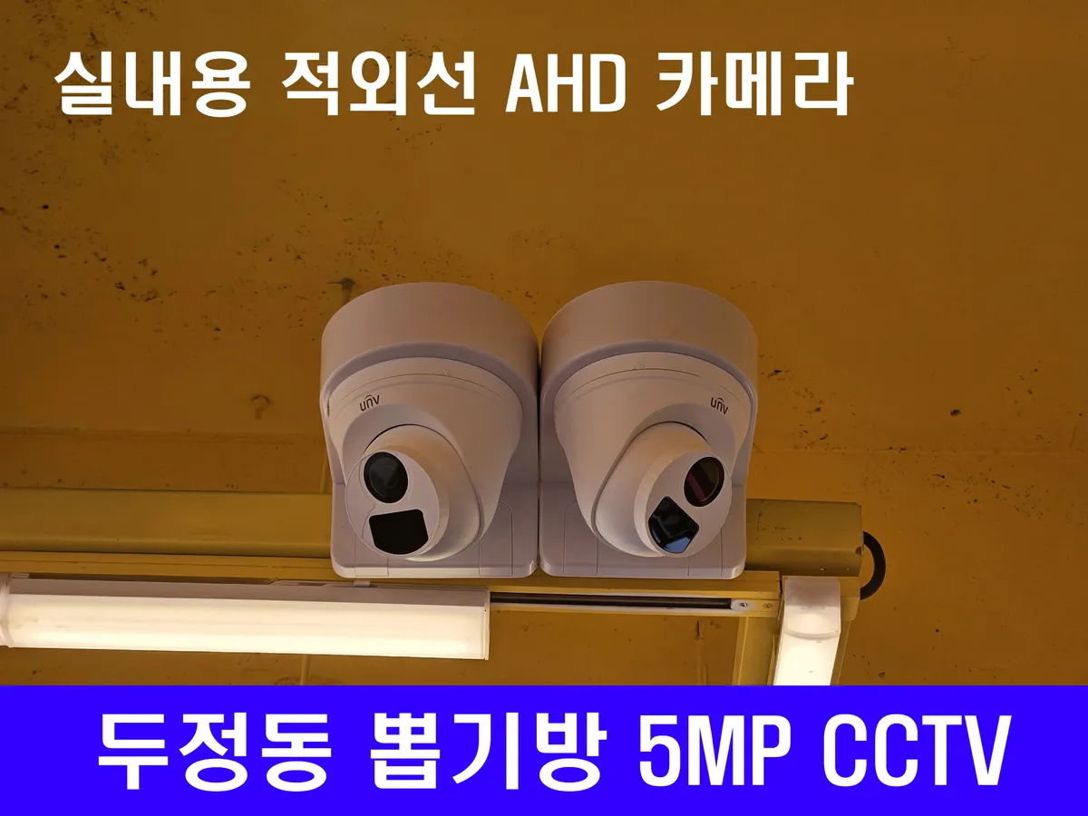 이미지 3