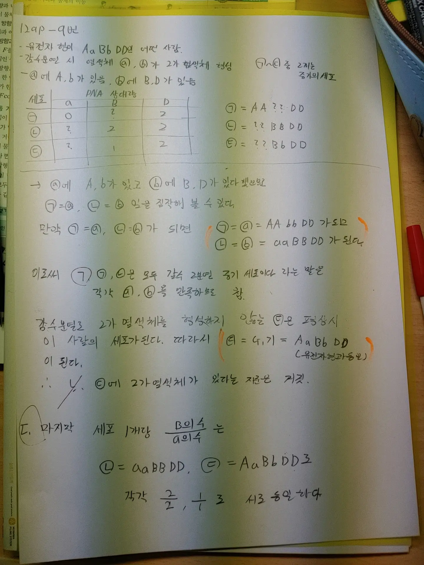 이미지 5