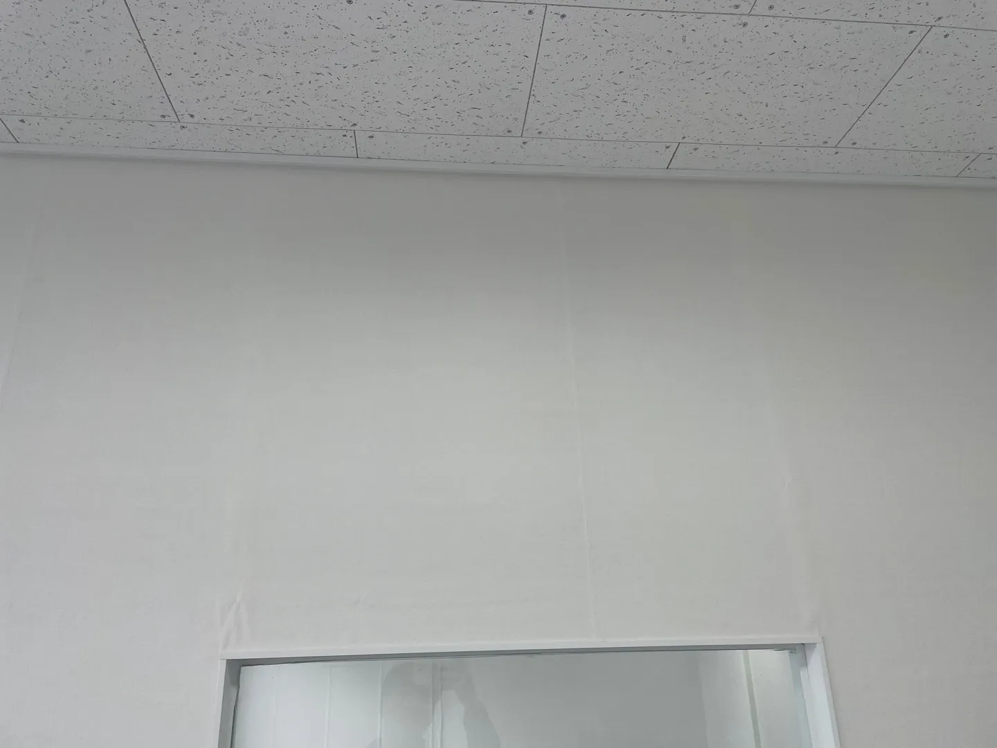 이미지 5